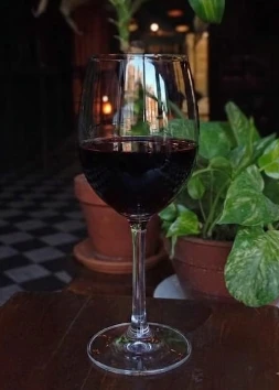 Copa de Vino Malbec